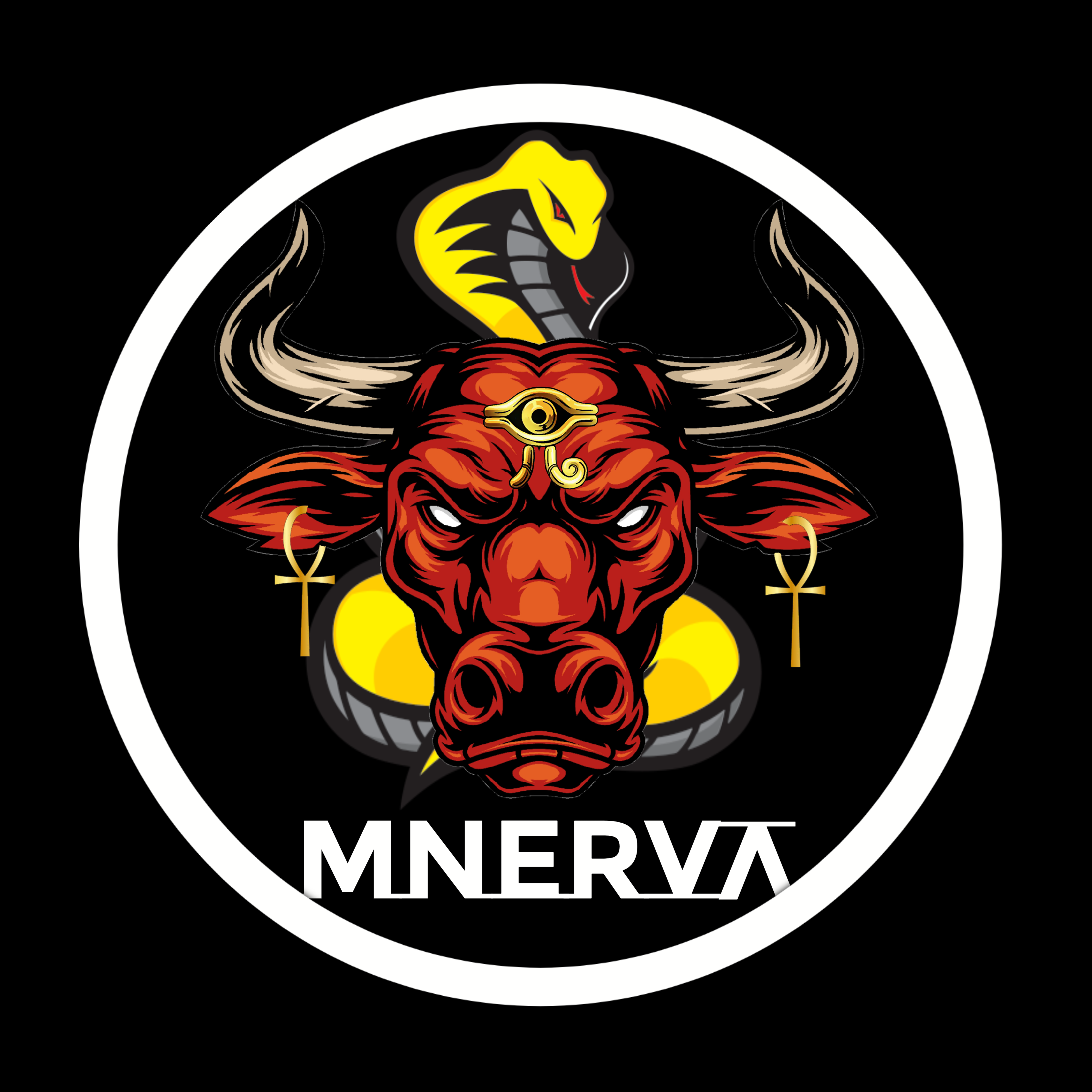 MNERVA